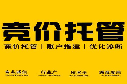 SEM主管实战：案例分析与优化策略